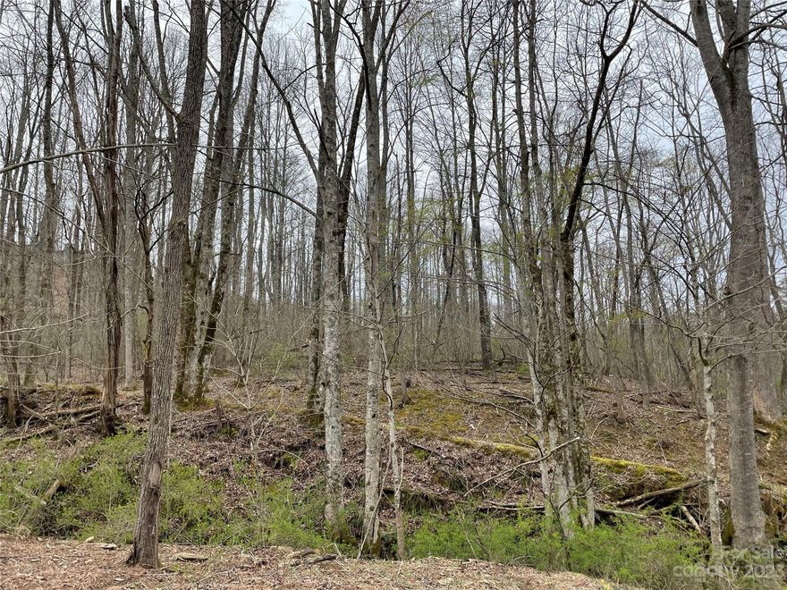 Beautiful, spacious wooded lot located close to the casino.  The perfect lot to build your dream home.  Slightly sloped acre with ample opportunities to do what you wish.  Surrounded by beautiful farm land enjoy the pristine mountain air.