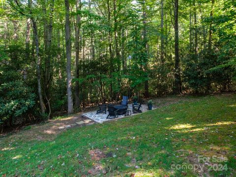 A home in Pisgah Forest