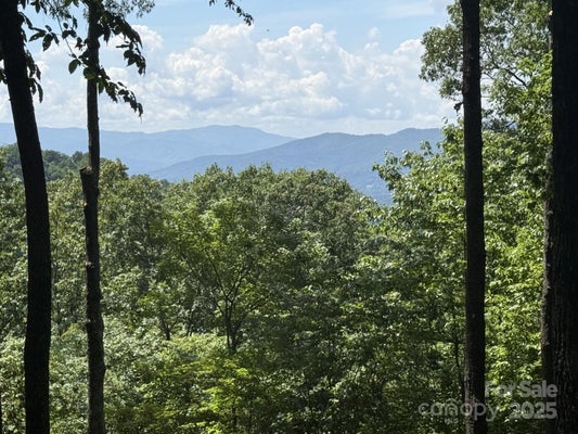 176 E REACH RD, SYLVA, NC 28779 - Image 76efd5cef0c2f5df964ea000a61ae312/2743640228