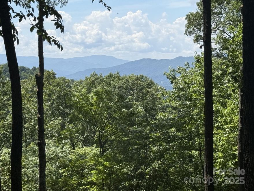 Enjoy the gorgeous drive through the woods until you reach a great build site, perfect for a walkout lower level and with beautiful Western views of the mountains.  Privacy abounds as the property is totally surrounded by the conservation easement.  The trail system abuts the property, so you can go for hikes right from your front door. Balsam Mountain Preserve is a private 4,400 acre club community with 3,200 acres of conservation land and completed amenities featuring golf, equestrian, scenic trails, tennis and dining. The stunning new facilities at Doubletop Village, including the Summit House Restaurant and Mine Tavern, are now open to members and their guests.