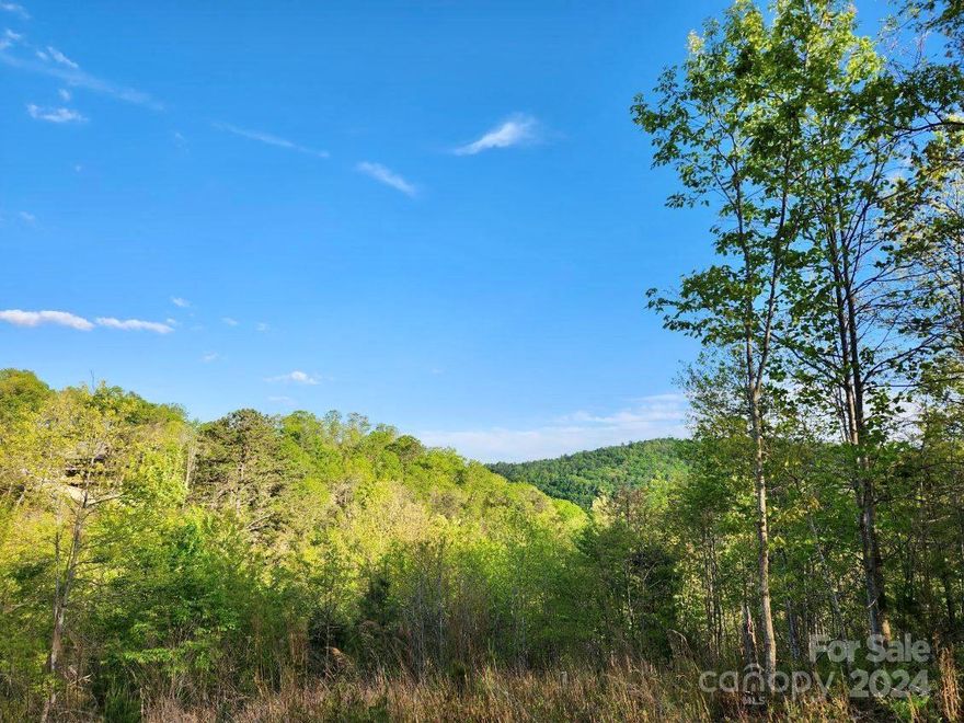 With a lovely Sunrise view, this 2.25 acre lot is waiting for you to build your dream mountain retreat! Are you looking for the perfect easy-build site to execute that dream? Look no further! This location is also situated to offer a beautiful Sunset view from the front of the home site. It's not often that you get both glorious views! If you're looking for the perfect location to build your dream mountain home or vacation getaway, you have found it here. French Broad Crossing is a gated conservation community with easy access to Asheville, Hot Springs, and Weaverville, all with activities galore! Enjoy the River Lodge, Fitness Center, Pool, River Park, Treehouse, and miles of walking/ATV trails! Relax and watch the sunset from the River Lodge, gather with family and friends by the fire, or just absorb nature on the trails. This is THE place to check out of the daily hustle and bustle and take a deep breath! Fiber Optic cable has also been wired throughout the neighborhood. FBC has a designated medical helicopter landing zone.