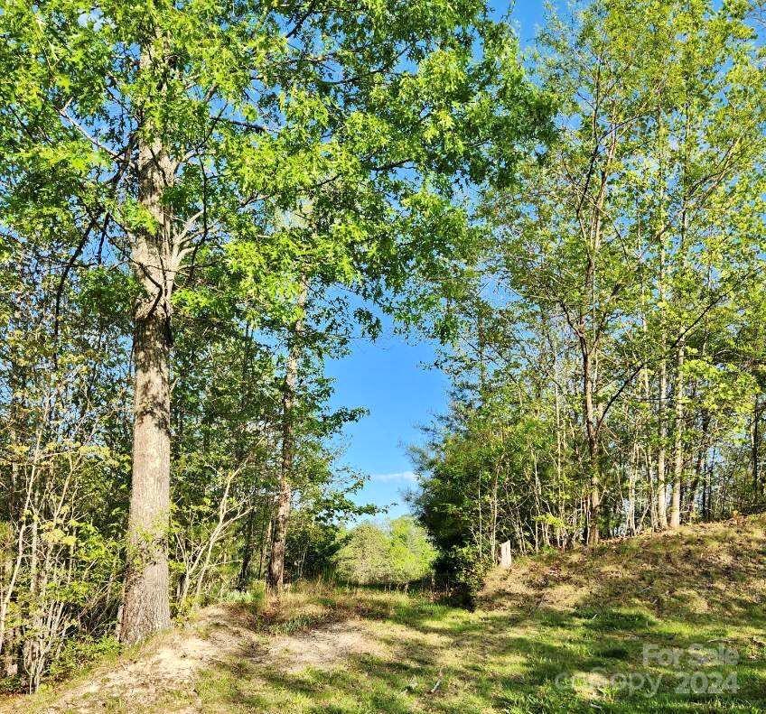 391 Red Fox Trail 16