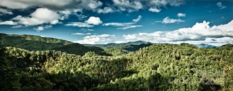 55 Laurel Ridge Marshall NC 28753