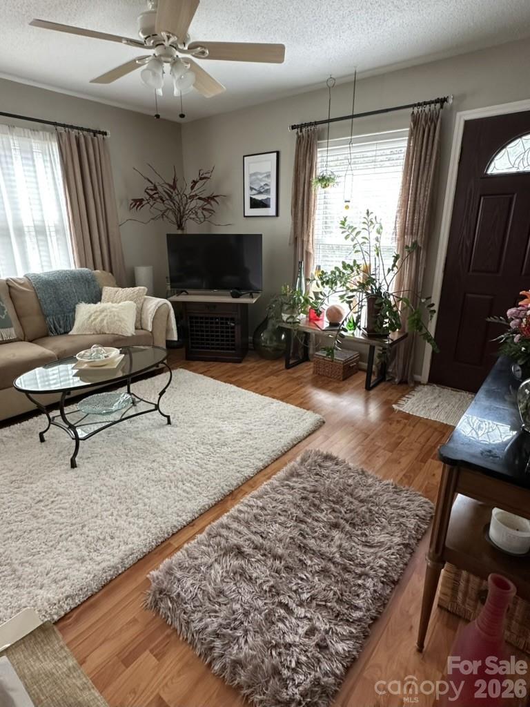 Willow Lake - Residential