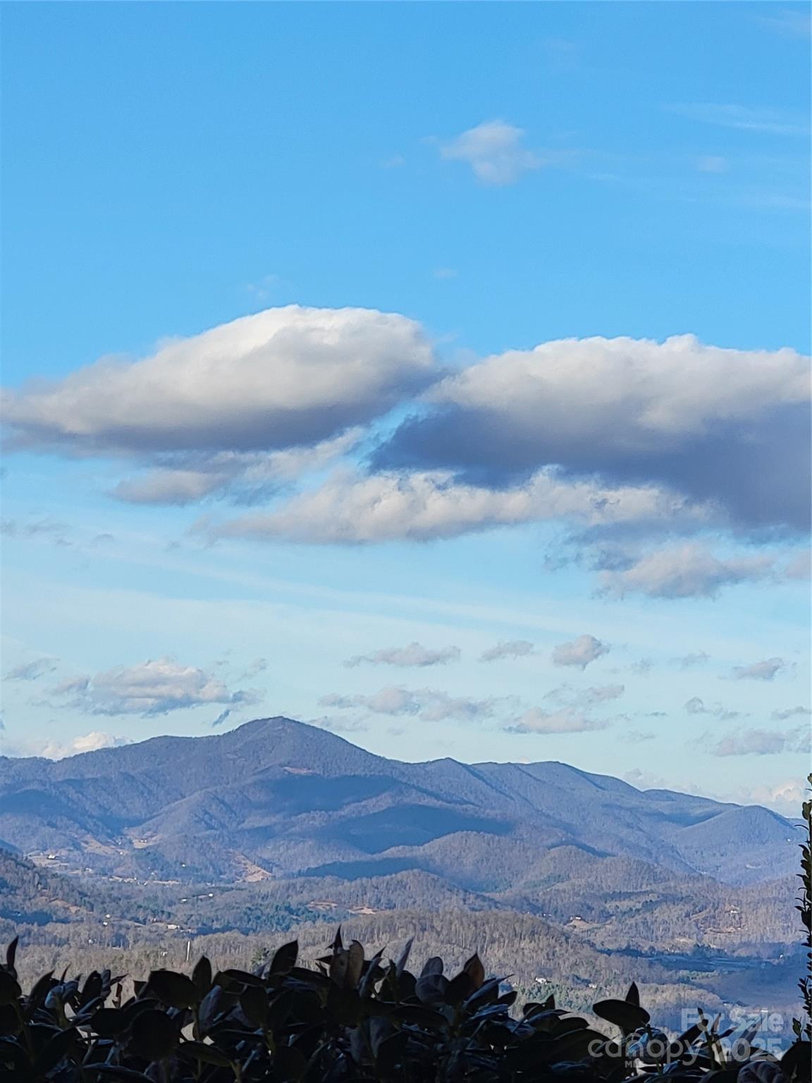 SANCTUARY COVE - Residential