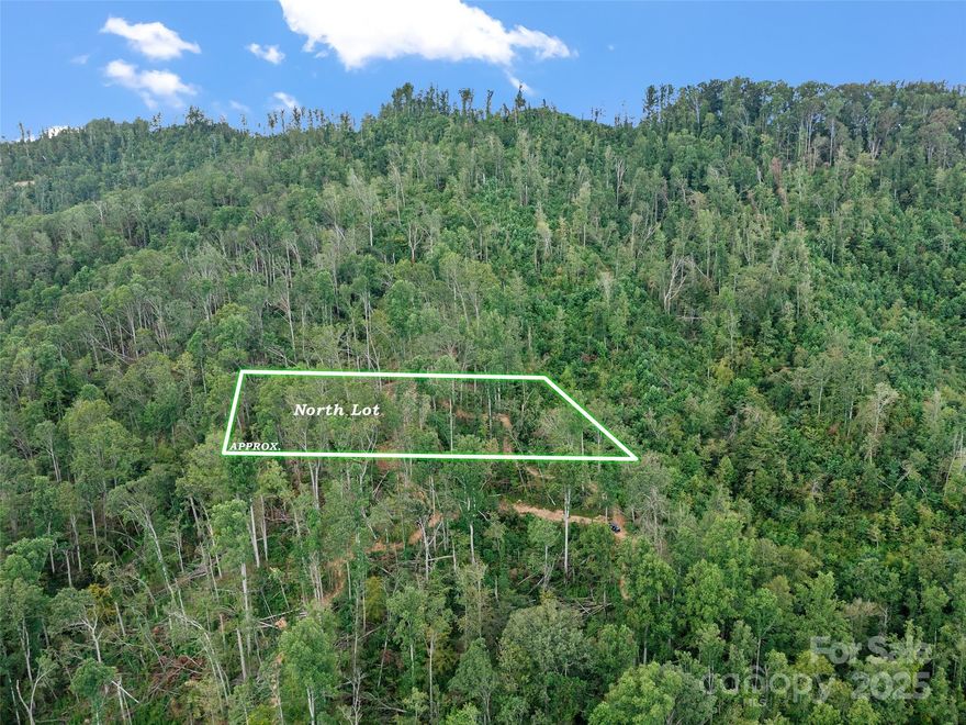 Experience the ideal blend of mountain privacy and everyday convenience at 99999 Youngs Gap Road North in Fletcher. This beautiful ±2.5-acre property captures sweeping mountain views and features gently roughed-in roads that wind through the land, and allow you to locate your idea homesite area. Whether you envision one spectacular home with long-range views or several dwellings tucked into the trees, the layout makes it easy to see your dream come to life. Each potential site offers its own charm—wooded serenity, open vistas, and natural contours that invite creative design possibilities. The existing infrastructure provides a head start on your build, with easy access already in place throughout the property. Location is everything, and this one delivers: only 20 minutes to Asheville Regional Airport, 15 minutes to Advent Health Hospital, 20 minutes to downtown Hendersonville, and 25 minutes to Asheville’s thriving restaurant and brewery scene. In less than 30 minutes, you can explore wineries, hiking trails, and endless mountain adventures—then return home to total peace and quiet. Buyers can choose the full +/- 5 acres for ultimate privacy and long-term potential, or a smaller ±2.5 -acre section for a more manageable mountain homesite. This flexibility makes this property a standout opportunity for a variety of buyers—from those seeking a personal retreat to those planning a family compound or investment property.