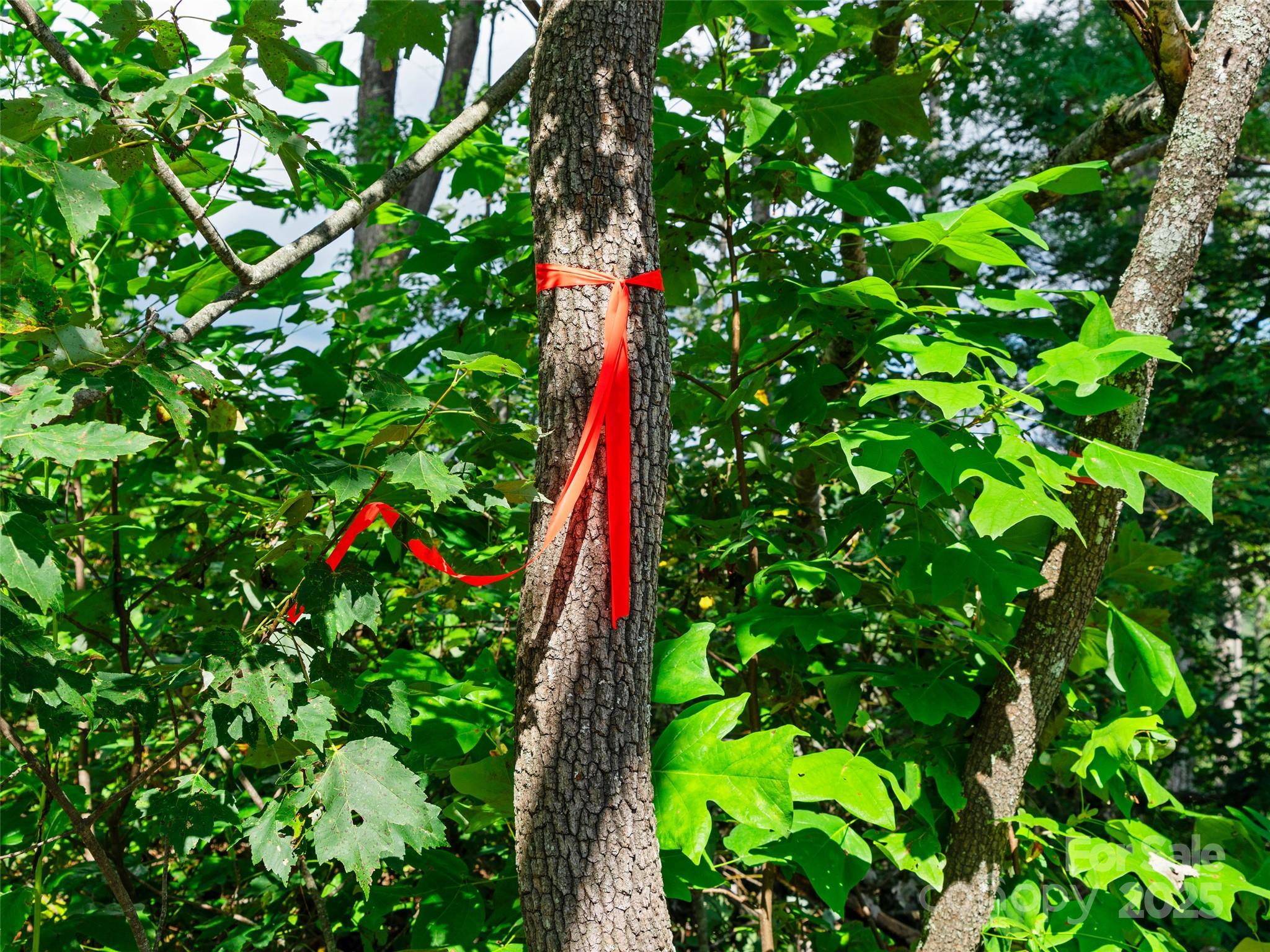 99999 Youngs Gap Road North Lot