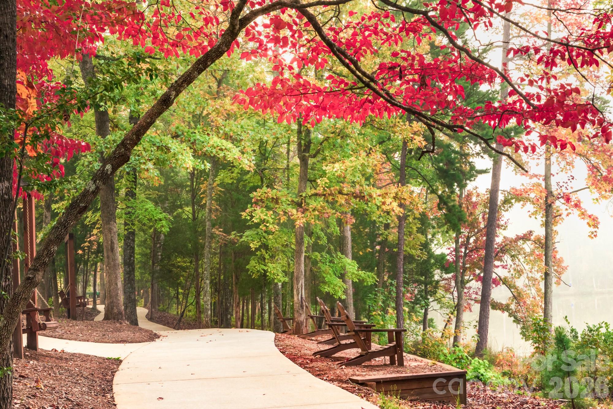 Tree Tops - Residential