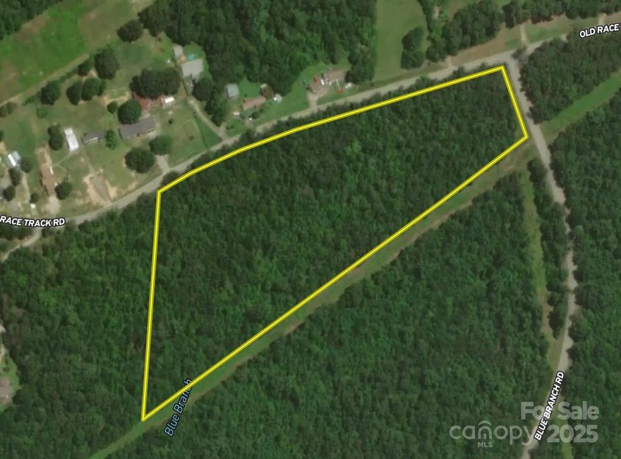 With frontage along both Old Race Track Road and Blue Branch Creek, Tract A offers a great mix of privacy, access, and natural beauty. Mostly wooded with level topography, this tract could suit a private homesite, small recreational retreat, or a future investment hold. Public utilities available at the road.