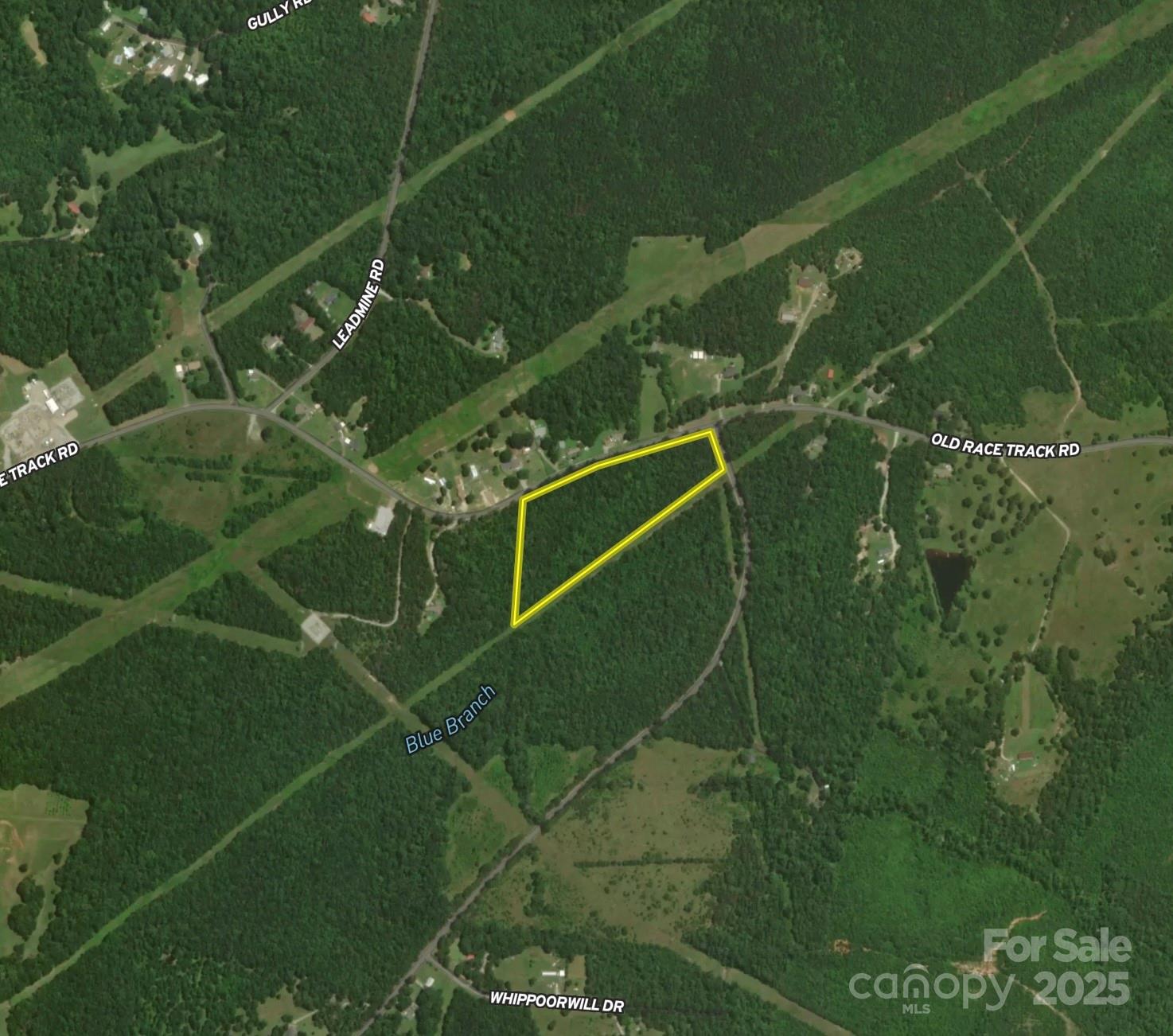 00 Blue Branch Road Tract A