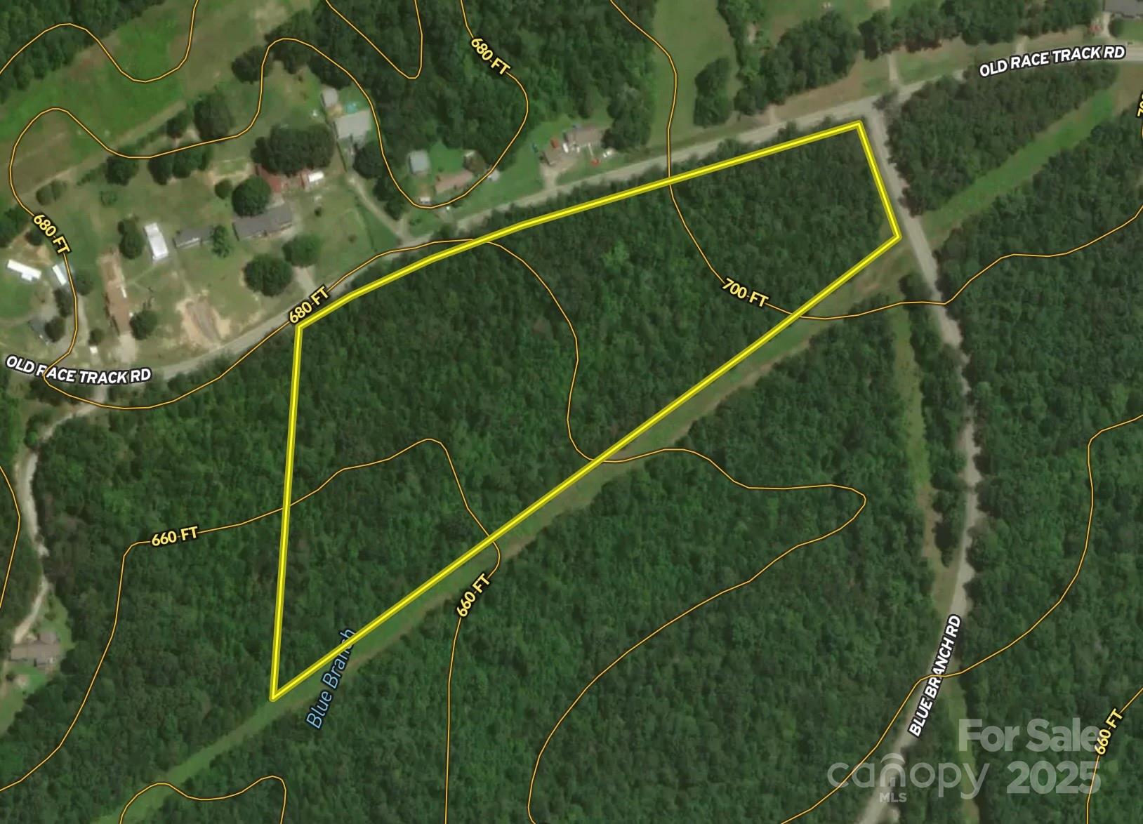 00 Blue Branch Road Tract A