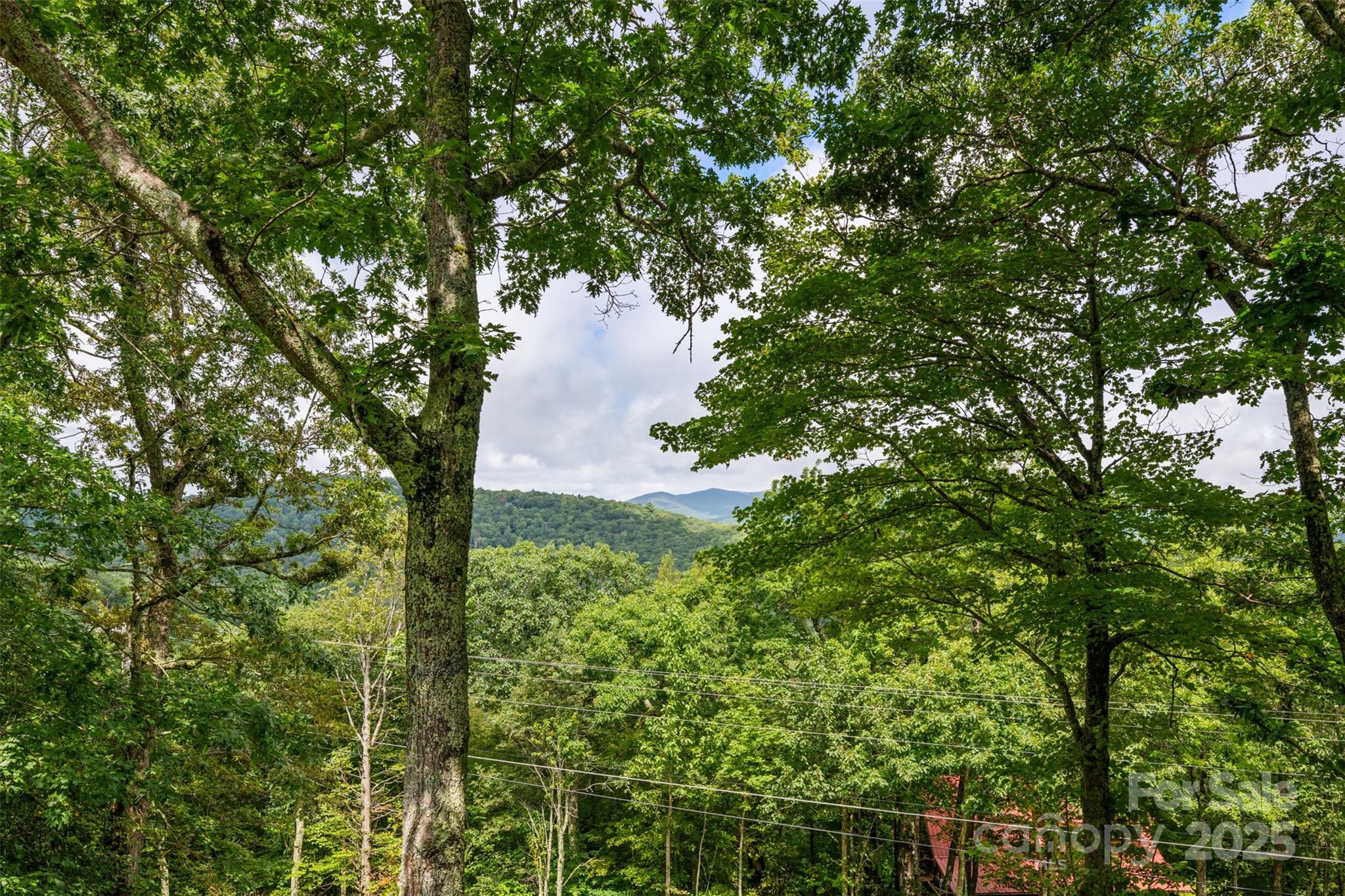 2587 Junaluska Road