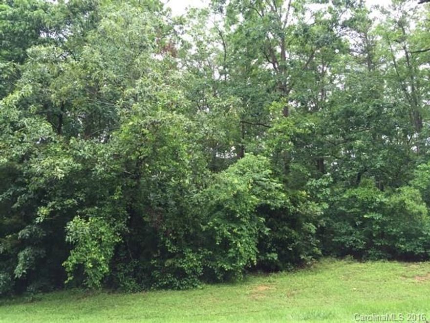 Come build your home on this great lot in a wonderful neighborhood. One of the few remaining lots.  Beautiful hardwoods with running stream, the perfect lot for a walk out basement home.  Very close to Ballantyne and Charlotte as well as the high school and middle school.  Please see important documents in associated docs.