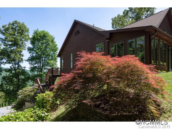 Reems Creek Golf Community - Residential