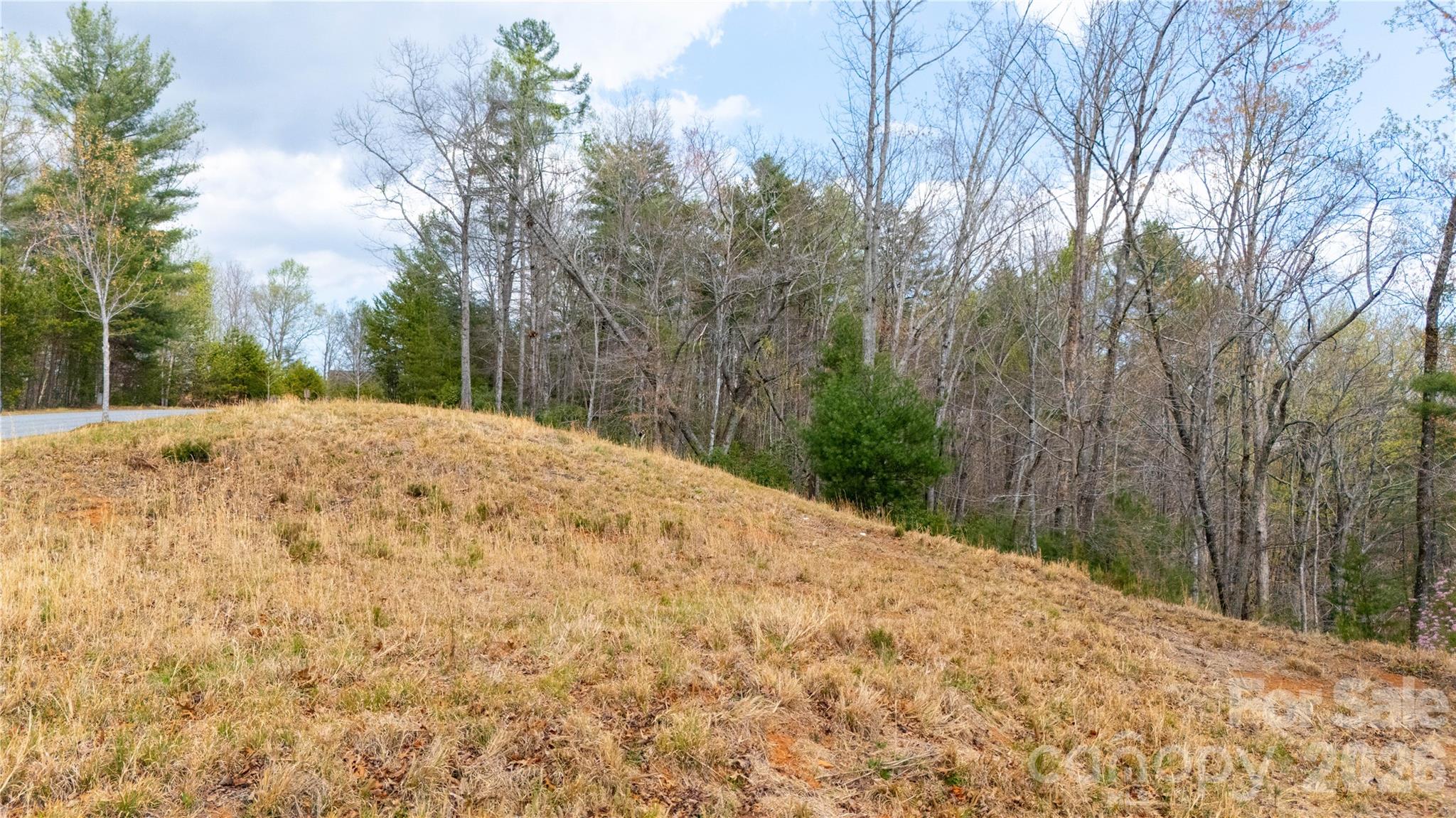 The Arbor at Lake James - Land