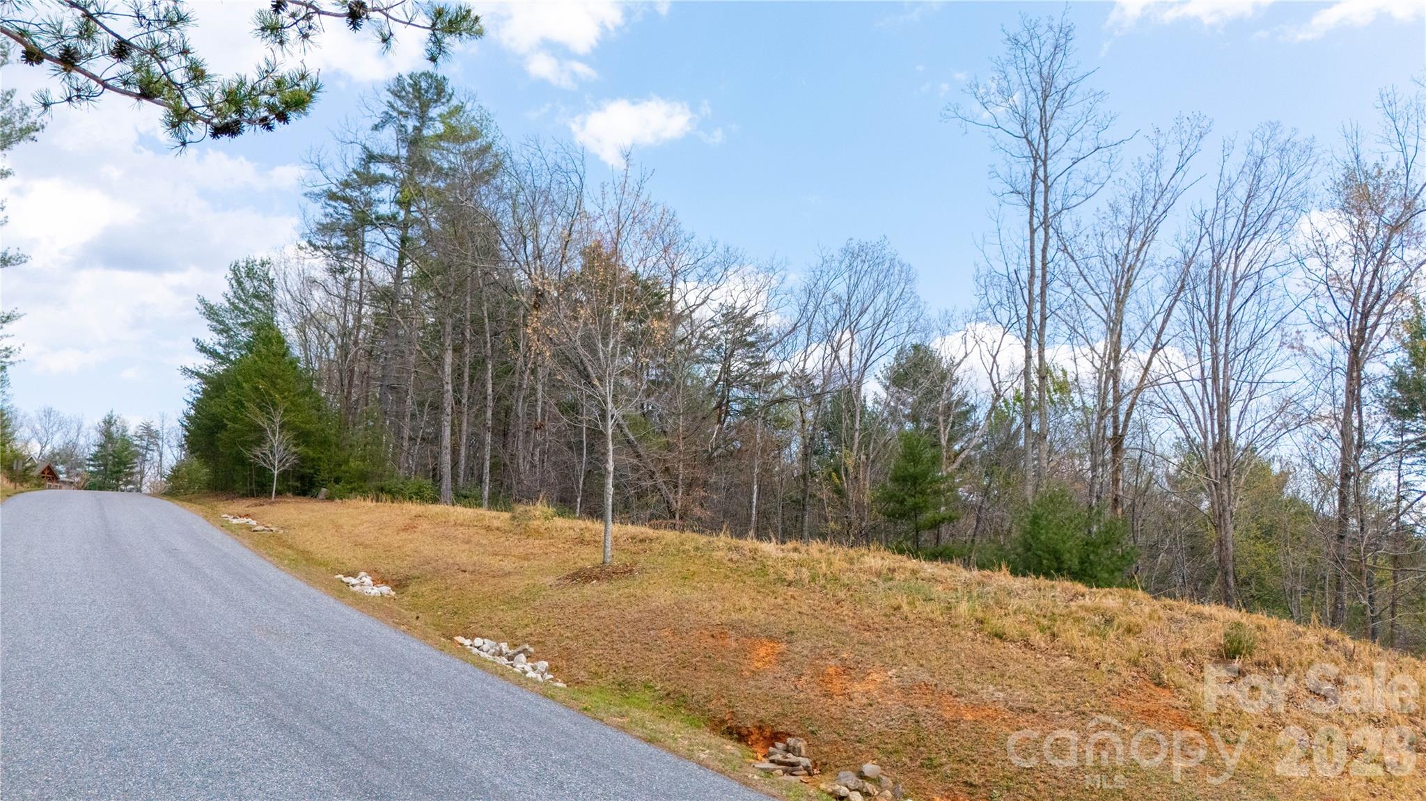 The Arbor at Lake James - Land