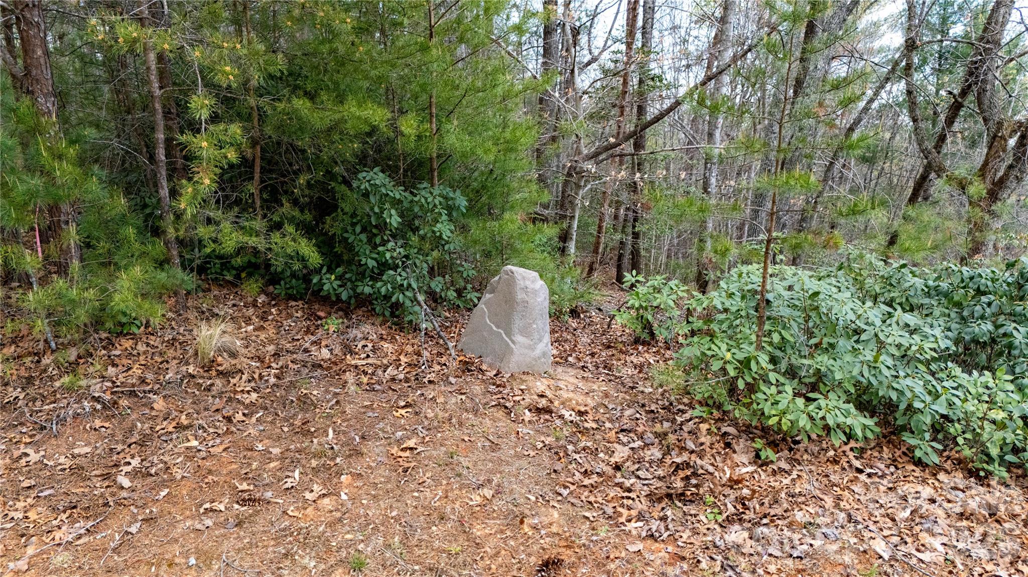 The Arbor at Lake James - Land