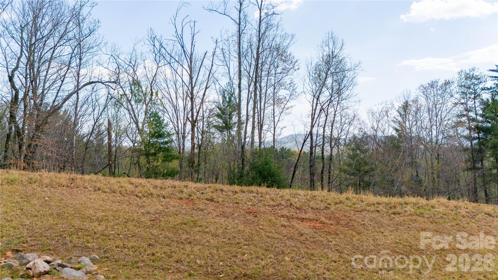 The Arbor at Lake James - Land