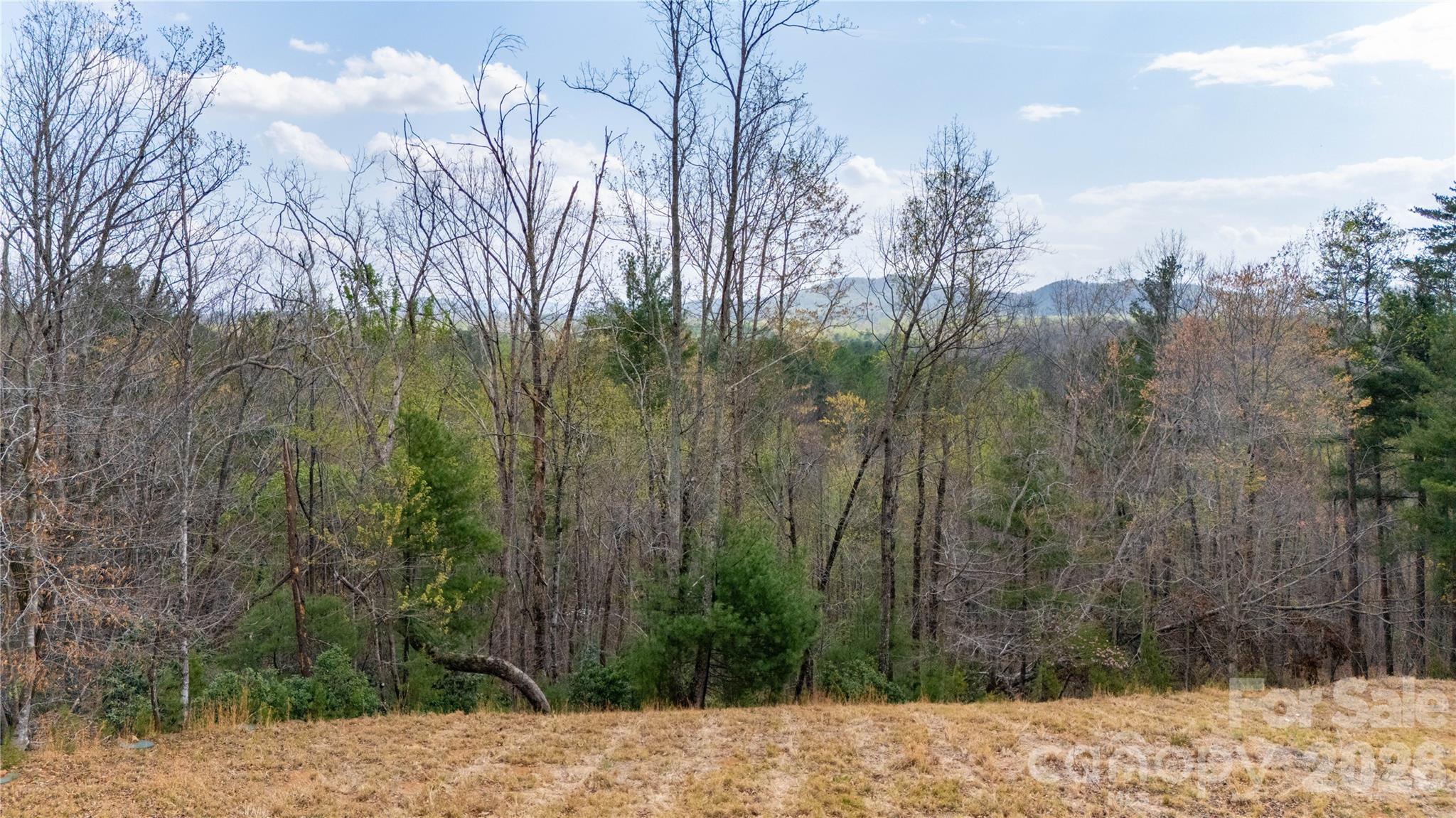 The Arbor at Lake James - Land