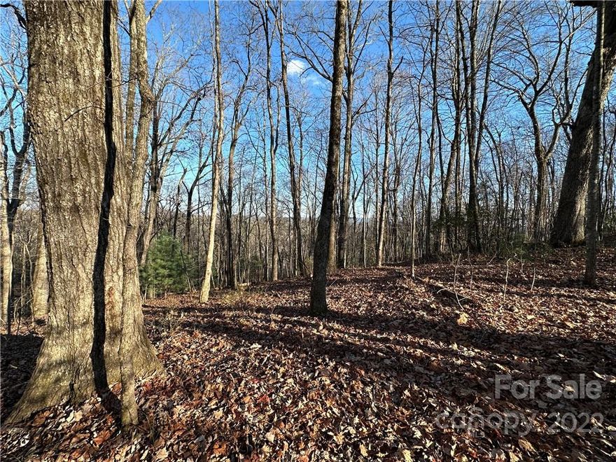 Located in the Historic Lake Toxaway township, these three adjoining lots, located on a private road within a unique subdivision with reasonable restrictions, provide an excellent opportunity to own a 1.79 acre parcel on which to build your private mountain retreat or choose to share your find with a friend or family member and utilize the three separate parcels for multiple homes. Either way, you're sure to enjoy the quite neighborhood with easy access to US 64.