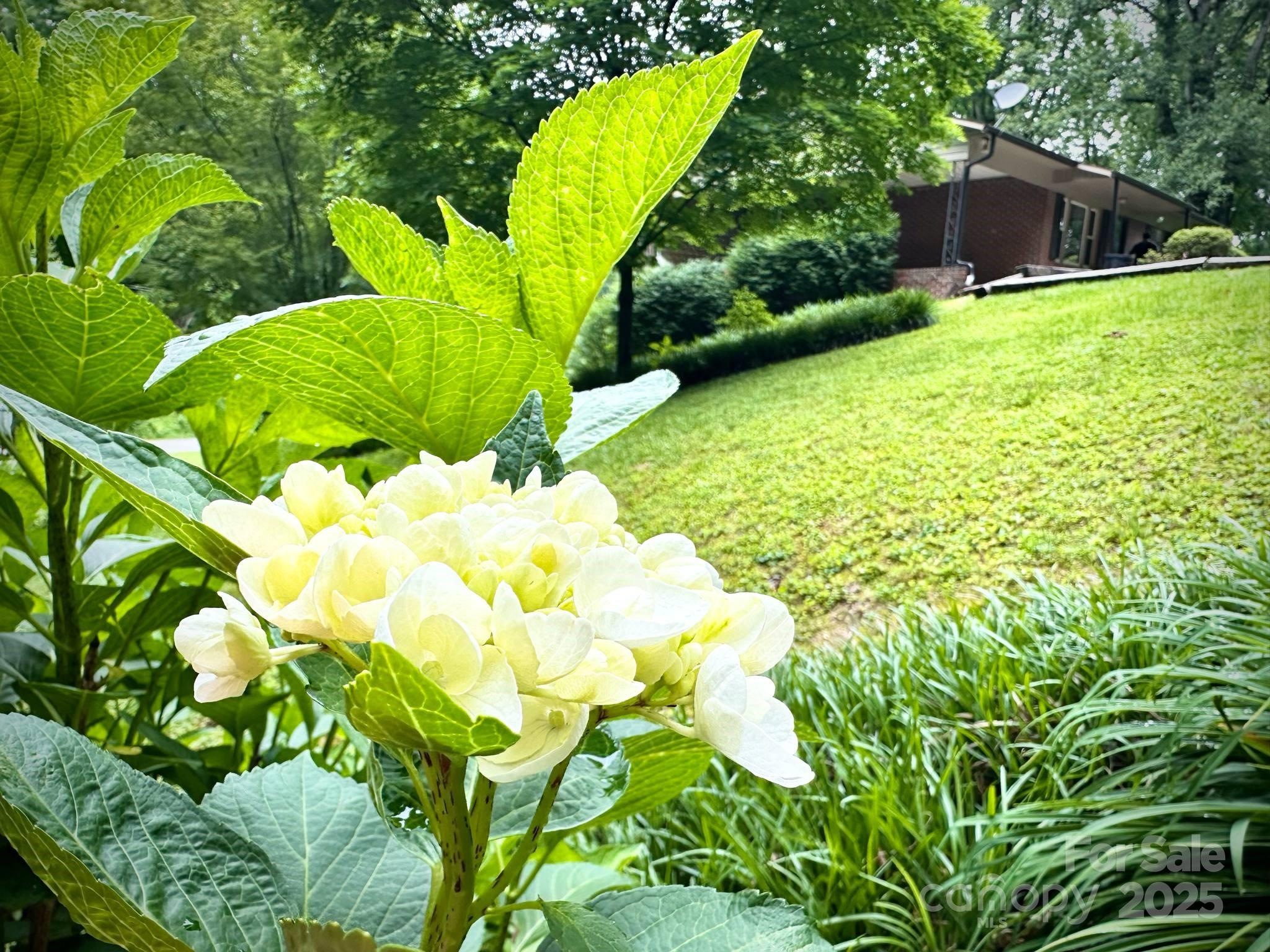 Lenoir, North Carolina 28645, United States, 3 Bedrooms Bedrooms, ,2 BathroomsBathrooms,Residential,Under Contract,140427