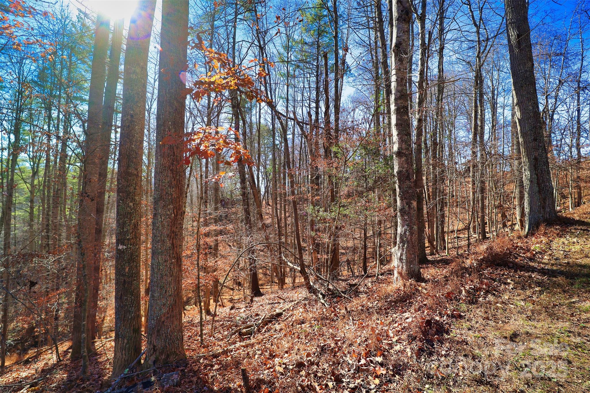 TBD Rockinghorse Trail Tract #1