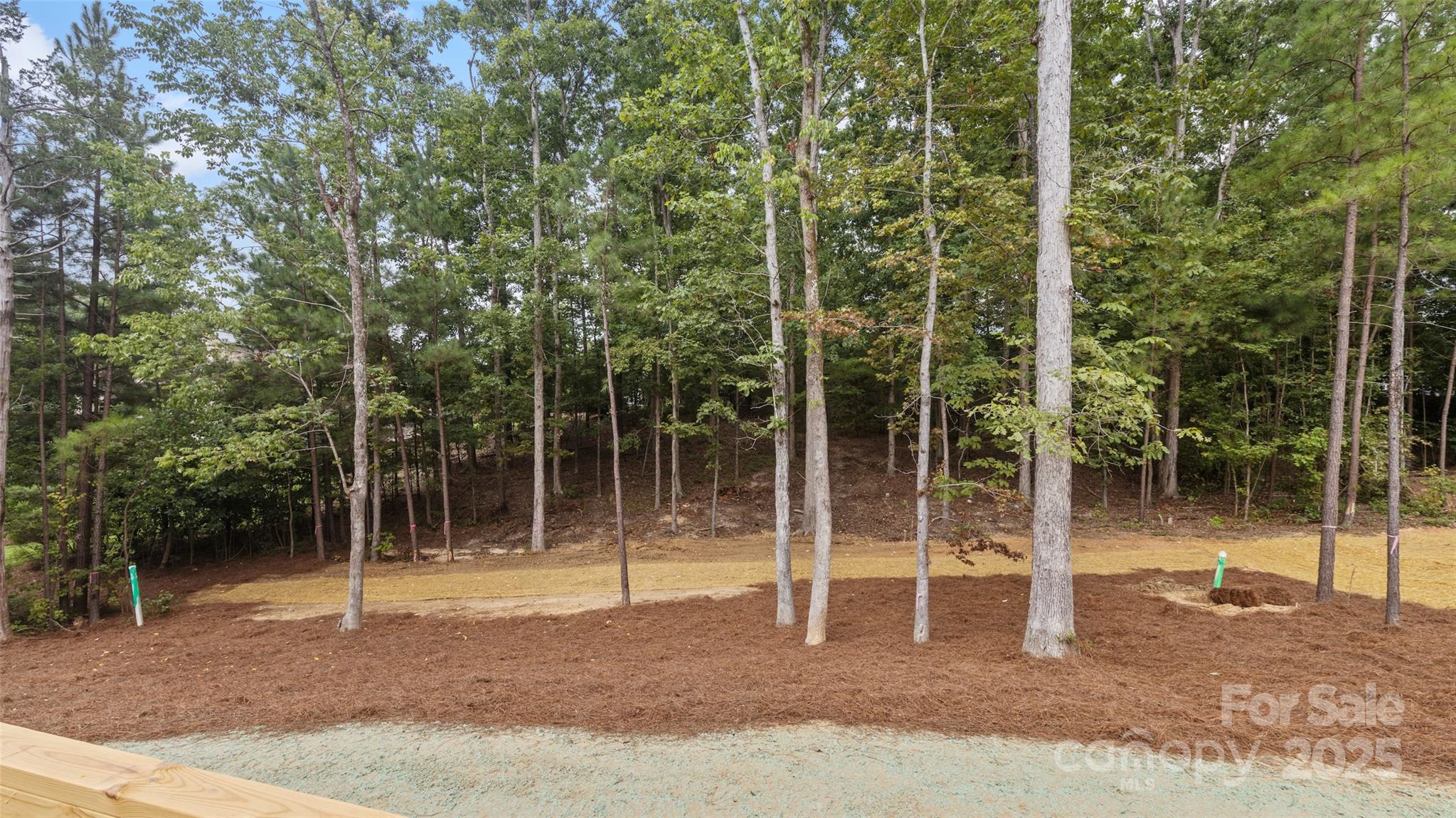 College Place - Residential