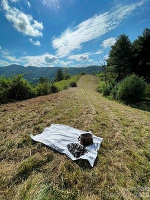 1005 ROBERTS BRANCH RD, MARSHALL, NC 28753 - Image 7768bd2ec4bdfa3dfd017e2dcaa7bf3b/1652374863