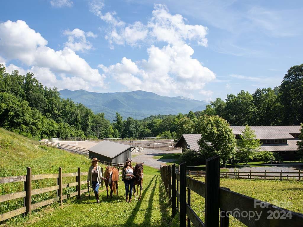Balsam Mountain Preserve - Residential