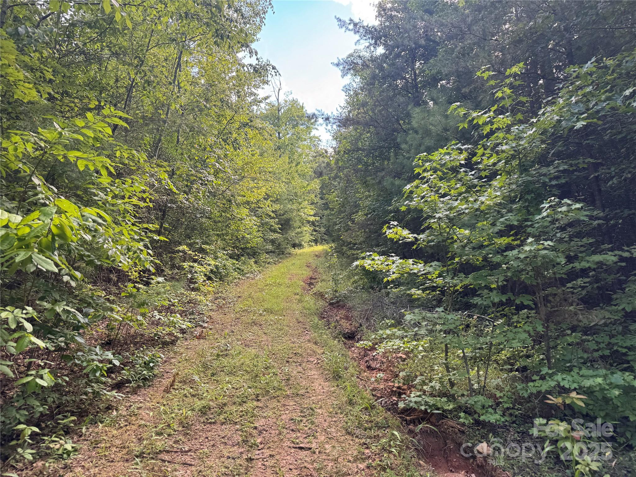 00 Rich Mountain Road