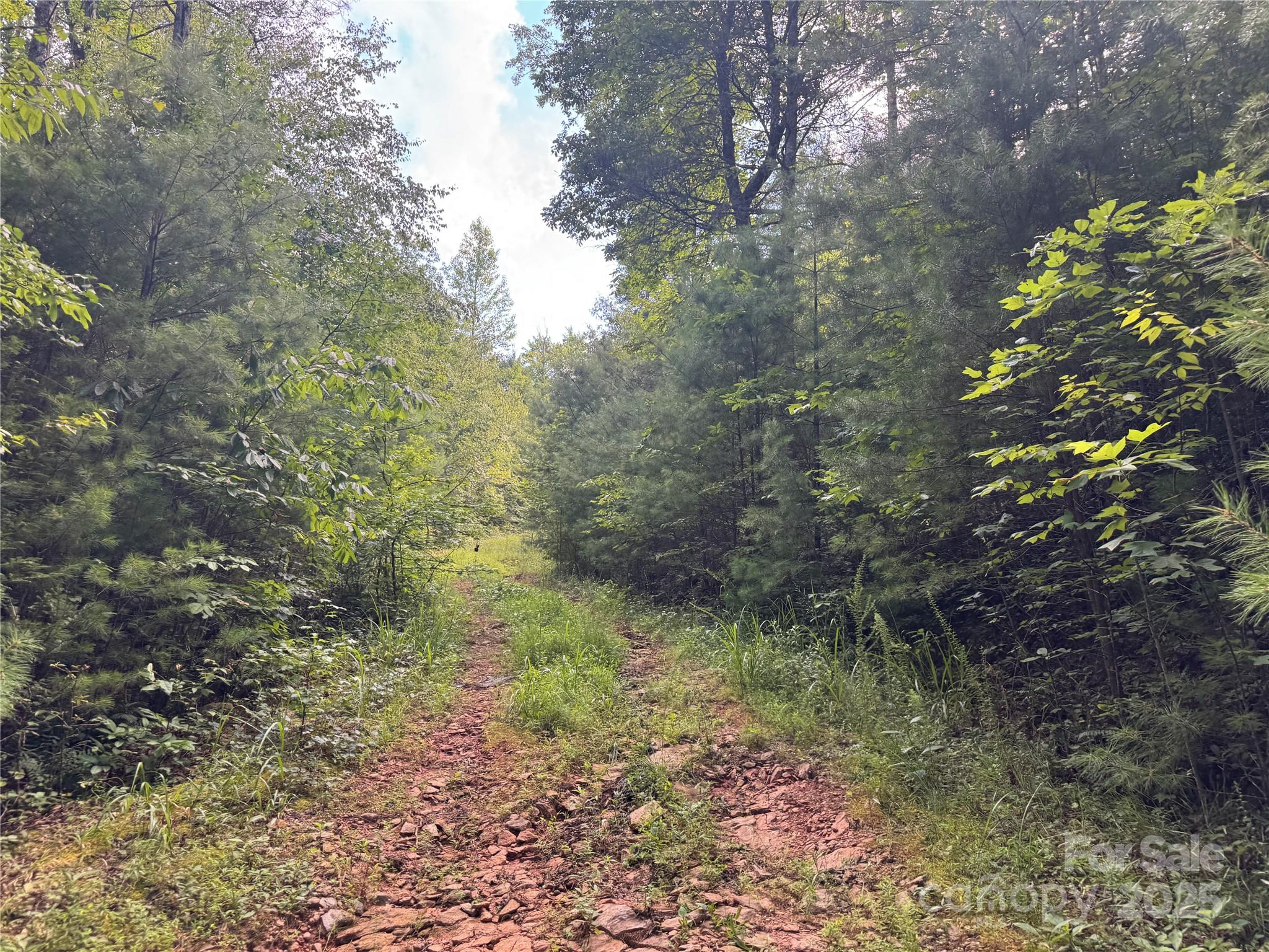 00 Rich Mountain Road