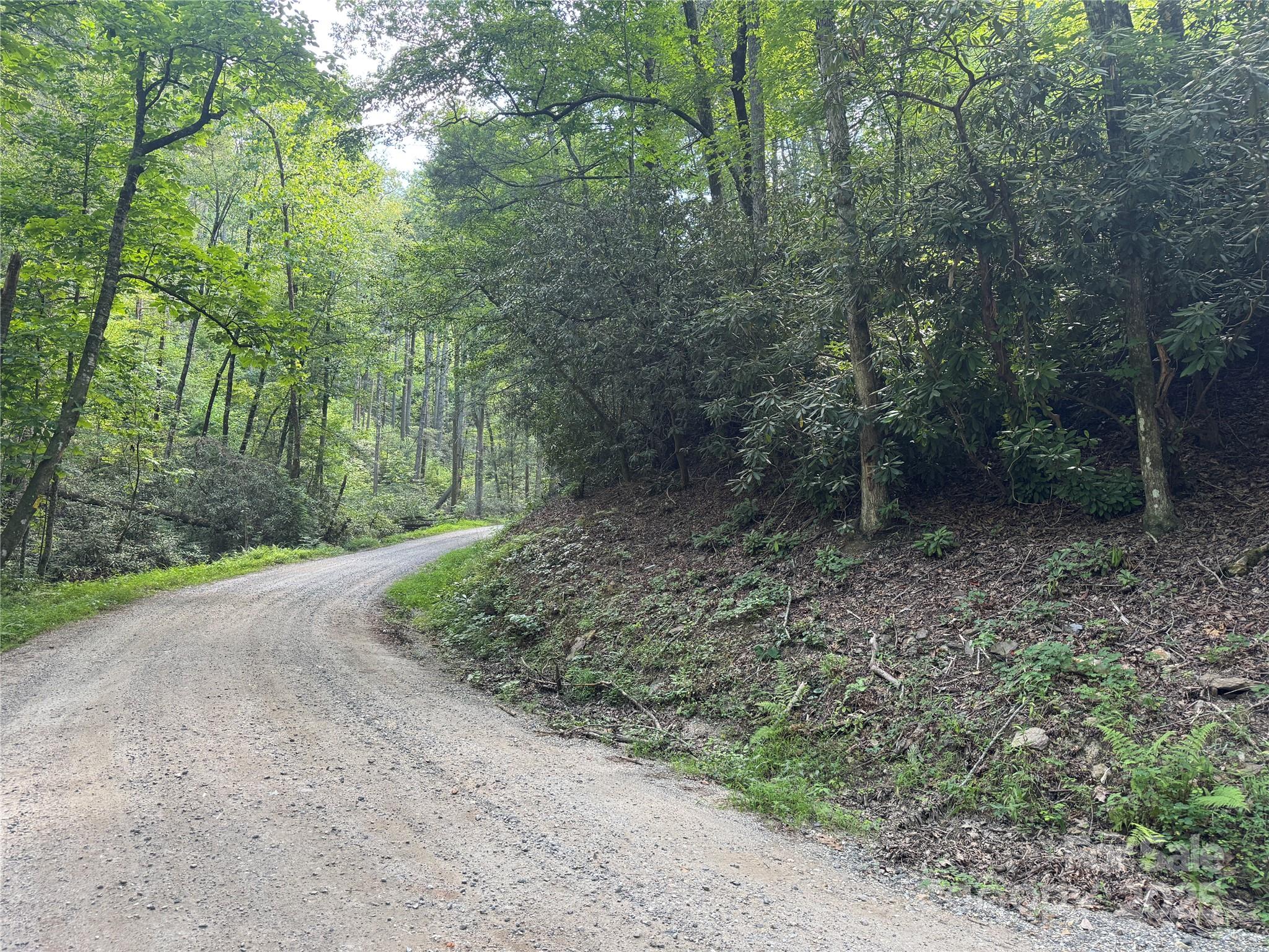 00 Rich Mountain Road