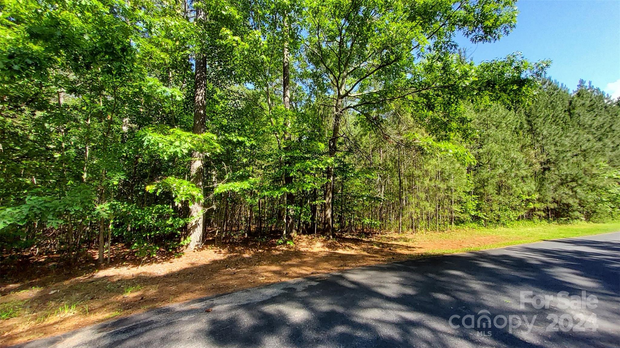 000 Loblolly Lane 22