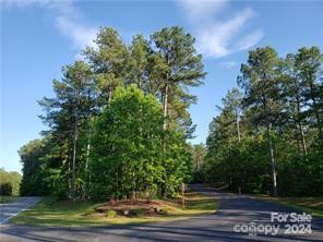 000 Loblolly Lane 22
