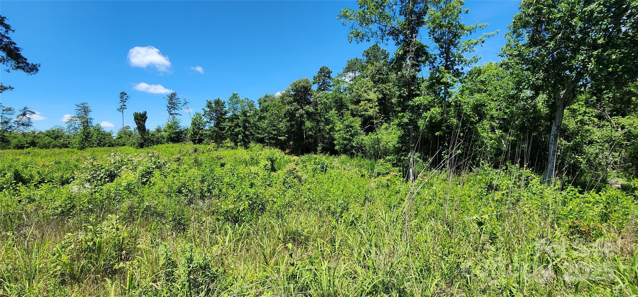 Lot 1 Poors Ford Road 1