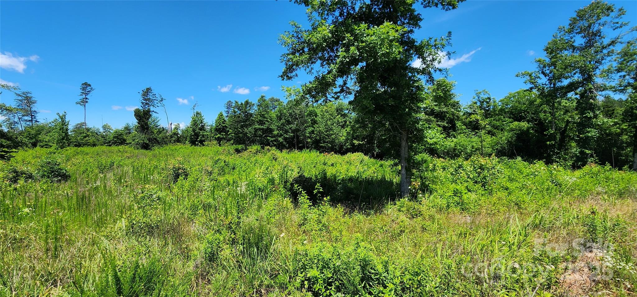 Lot 1 Poors Ford Road 1