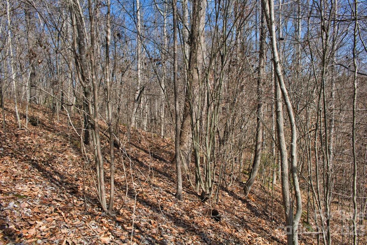 0 Woodstock Lane 170