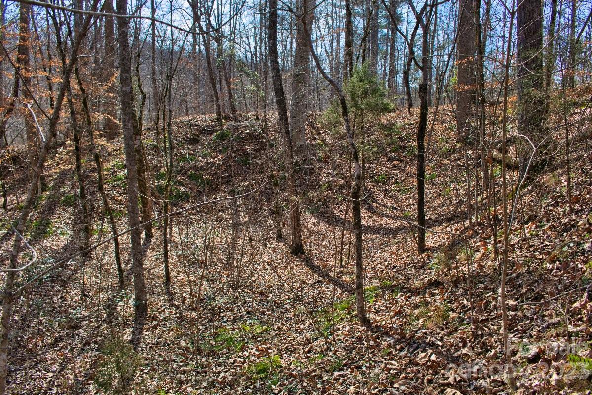 0 Woodstock Lane 170