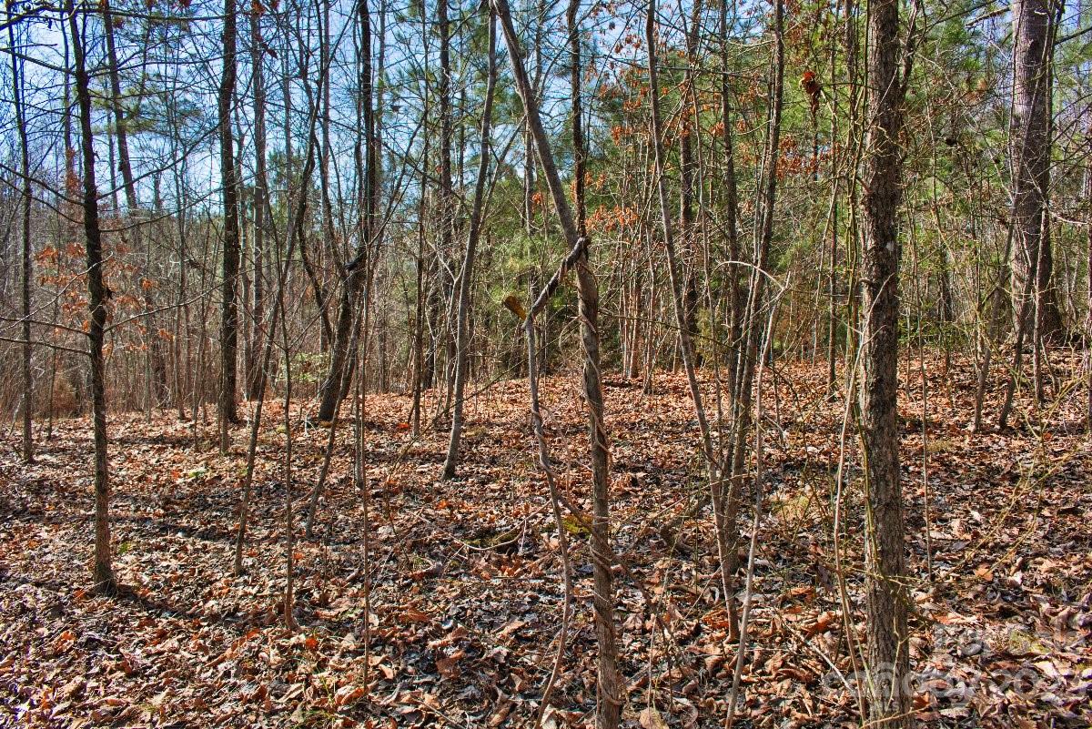 0 Woodstock Lane 170