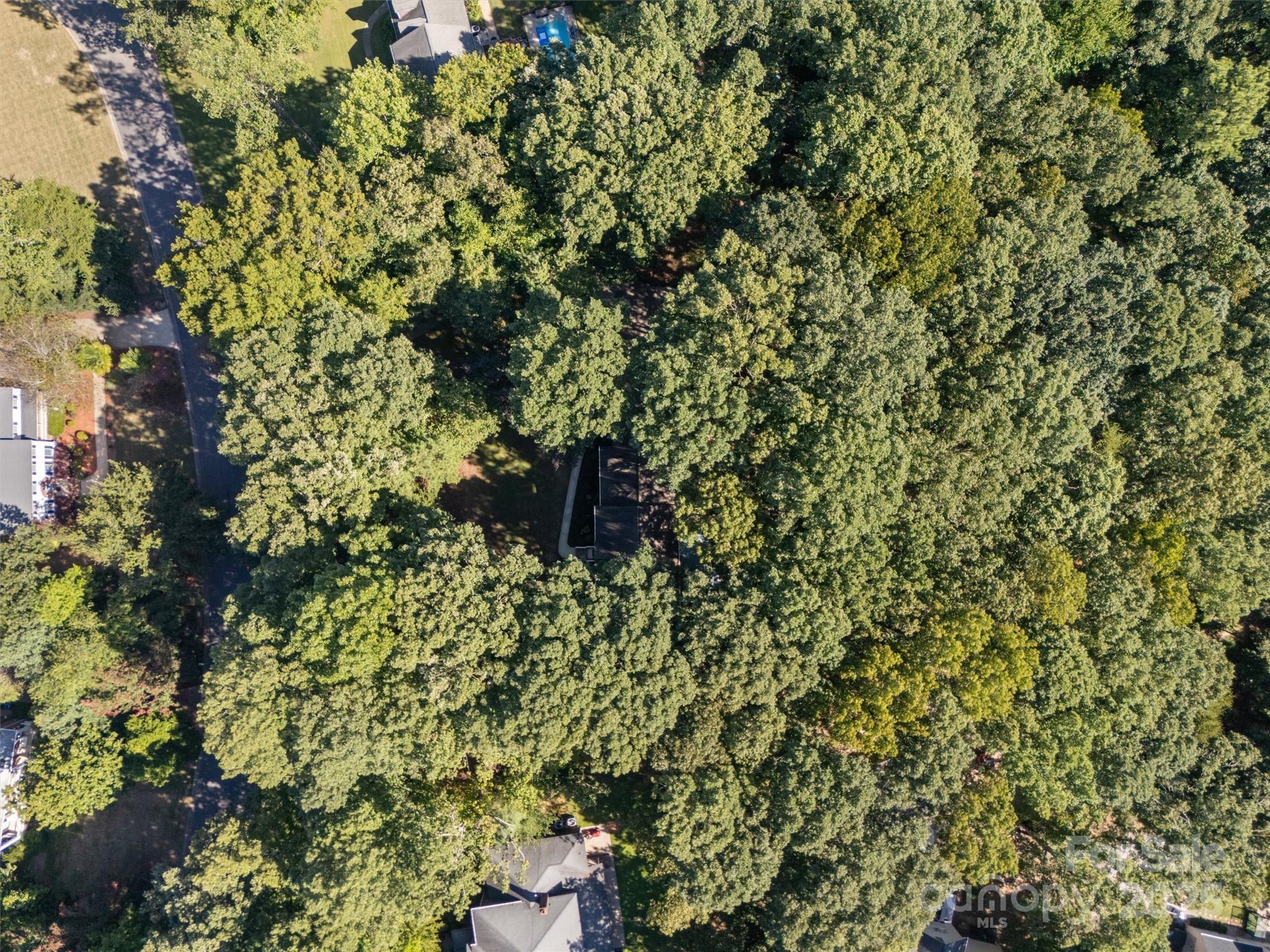 Tara Plantation - Residential