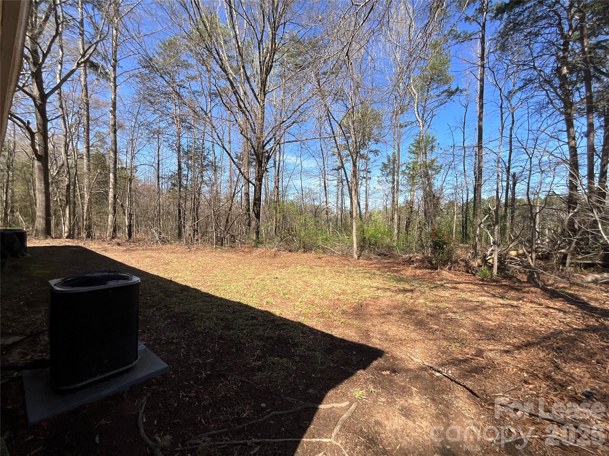 None - Residential Lease