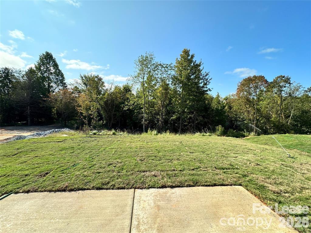 Wallace Springs - Residential Lease