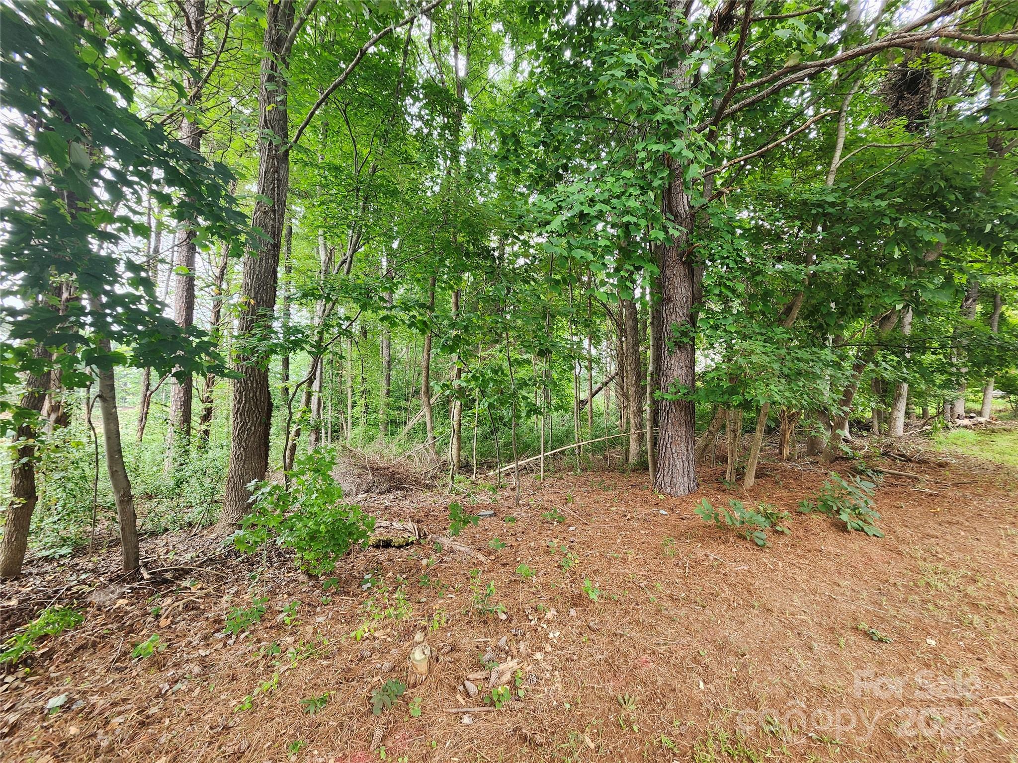 9843 Drawbridge Drive