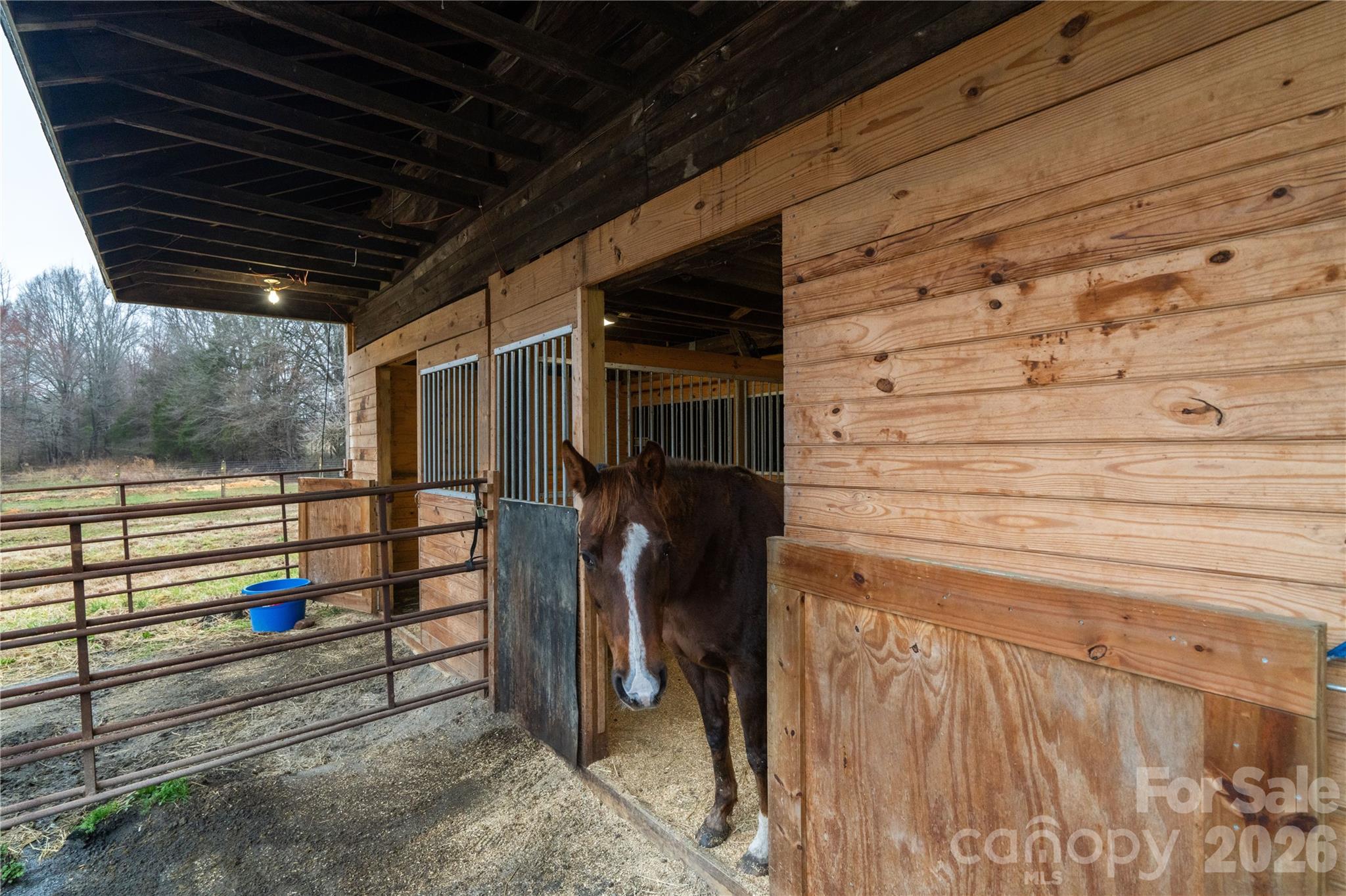 6507 Frieden Church Road