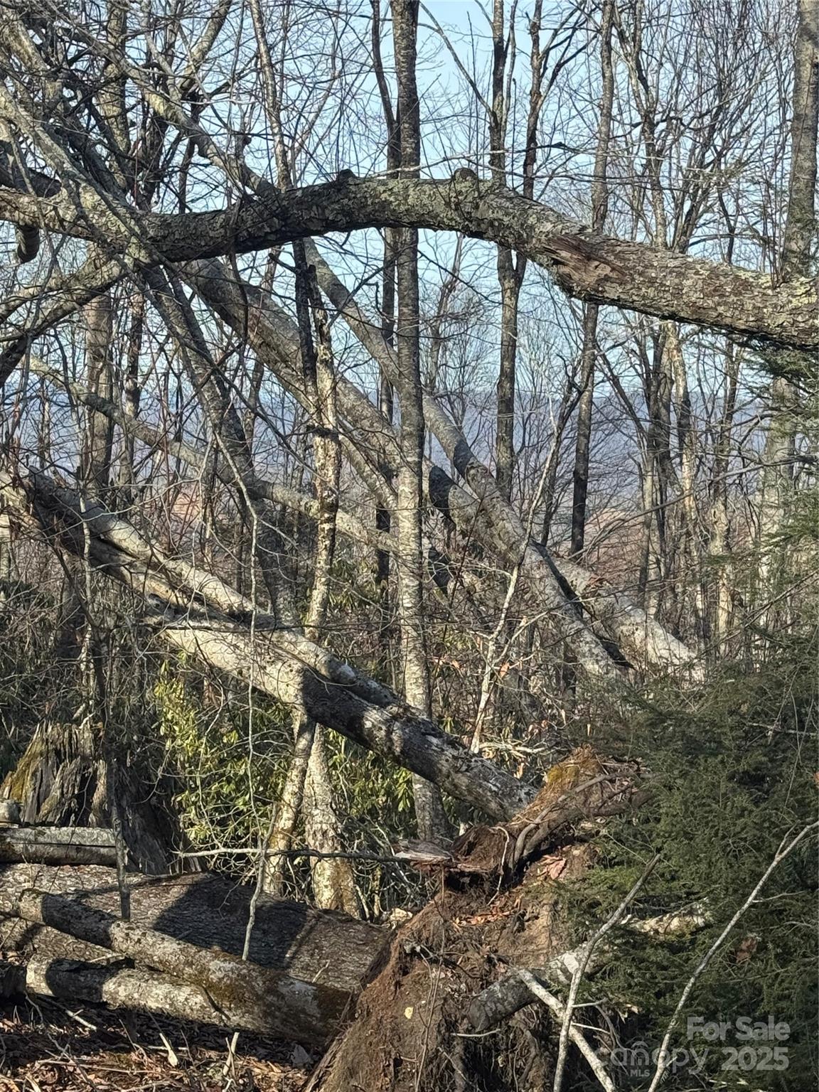 226 Greenbriar Road 322 C