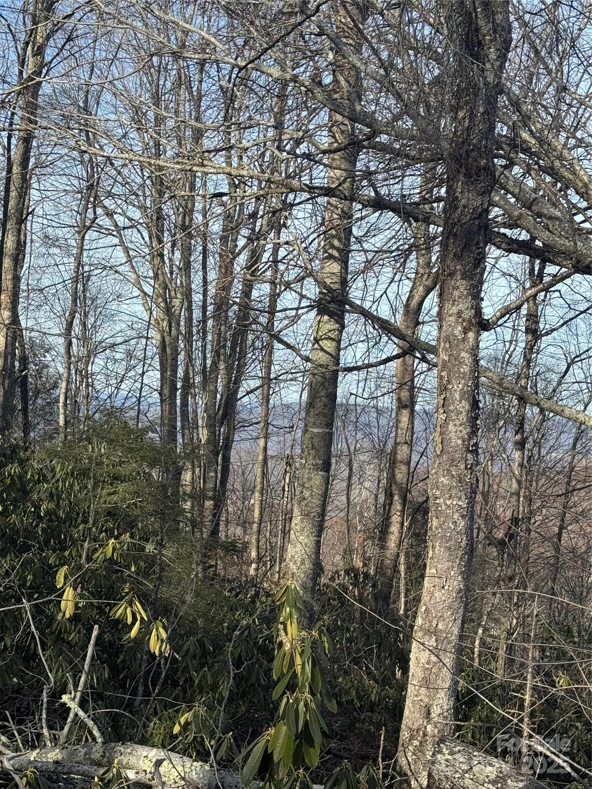 226 Greenbriar Road 322 C