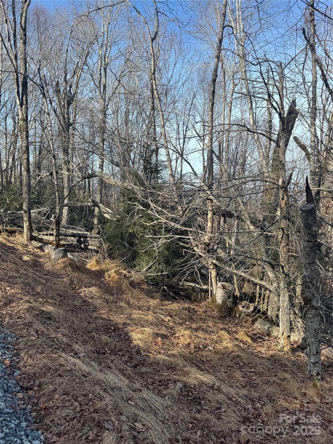 226 Greenbriar Road 322 C