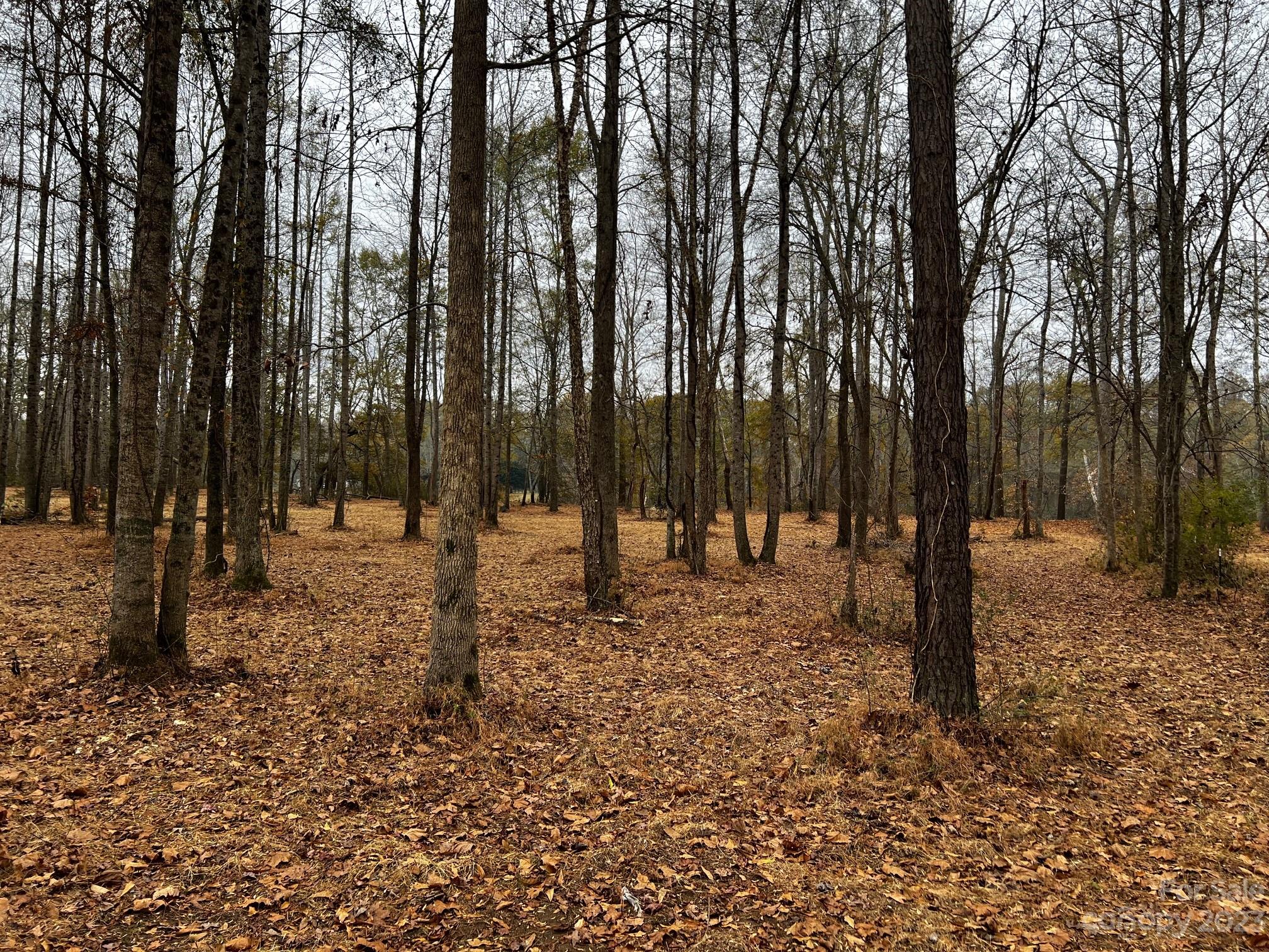 River Rock Shores - Land