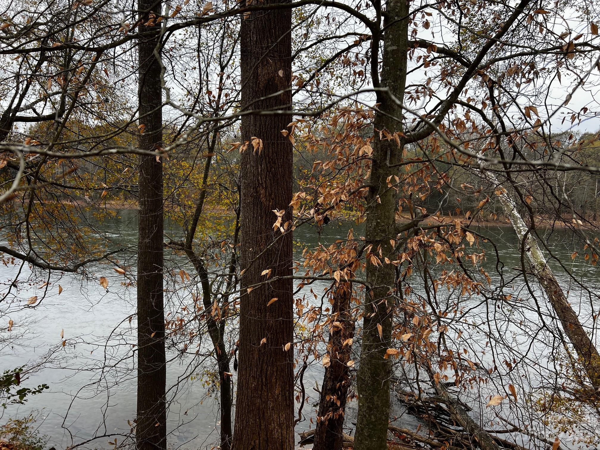 River Rock Shores - Land