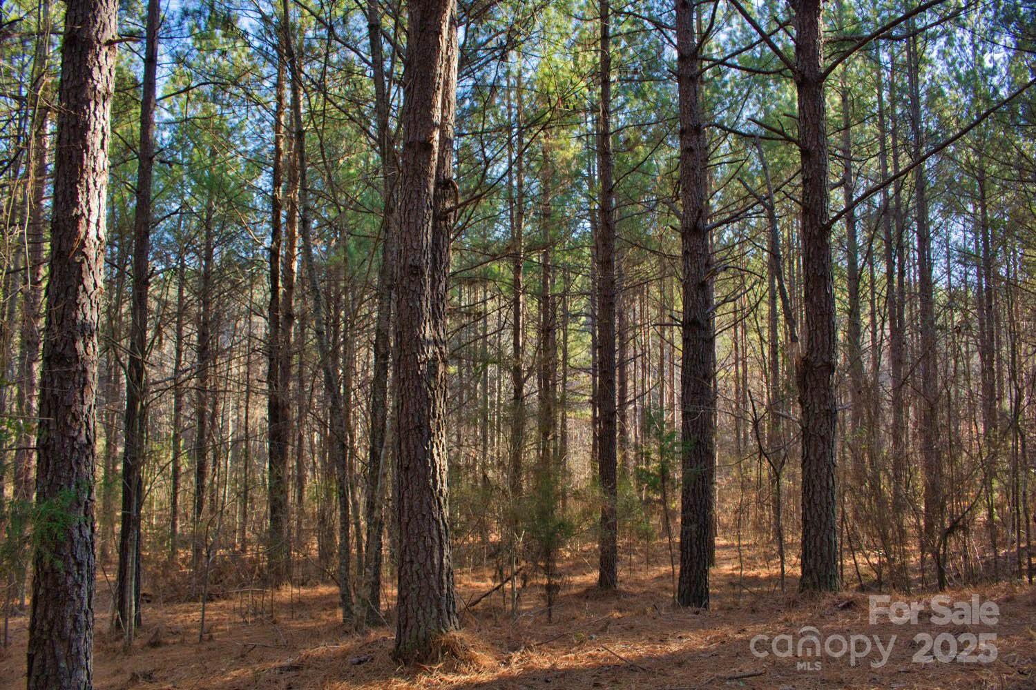 0 Clearwater Parkway 209